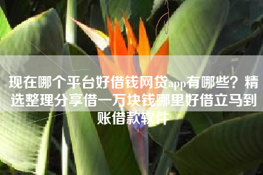 现在哪个平台好借钱网贷app有哪些？精选整理分享借一万块钱哪里好借立马到账借款软件