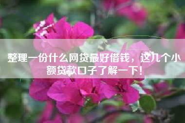 整理一份什么网贷最好借钱，这几个小额贷款口子了解一下！