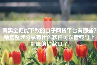 网黑全拒能下款的口子网贷平台有哪些？精选整理分享有什么软件可以借钱马上到账的借款口子