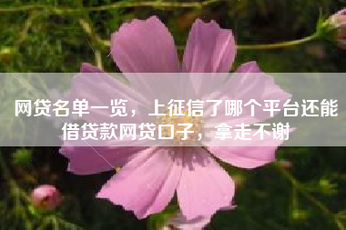网贷名单一览，上征信了哪个平台还能借贷款网贷口子，拿走不谢