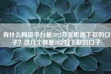 有什么网贷平台是2022万年拒能下款的口子？这几个就是2022好下款的口子