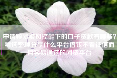 申请频繁被风控能下的口子贷款有哪些？精选整理分享什么平台借钱不看征信而且容易通过的网贷平台