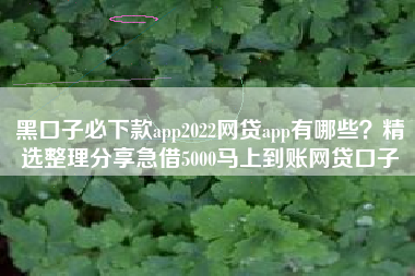 黑口子必下款app2022网贷app有哪些？精选整理分享急借5000马上到账网贷口子