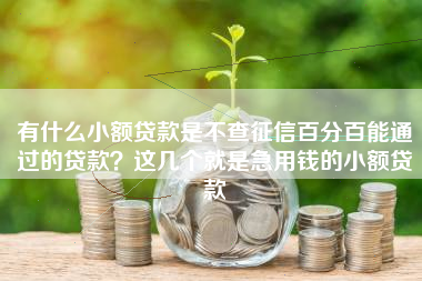有什么小额贷款是不查征信百分百能通过的贷款？这几个就是急用钱的小额贷款