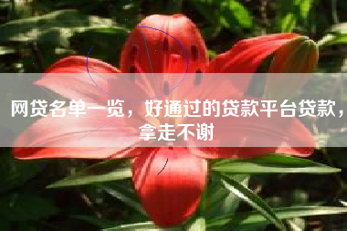 网贷名单一览，好通过的贷款平台贷款，拿走不谢