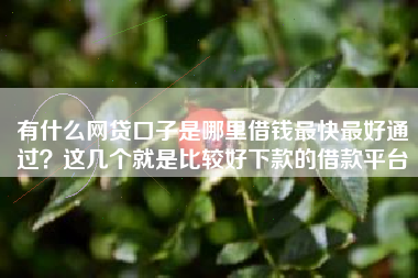 有什么网贷口子是哪里借钱最快最好通过？这几个就是比较好下款的借款平台