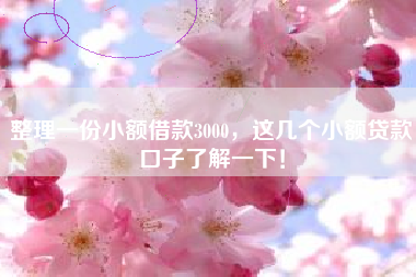 整理一份小额借款3000，这几个小额贷款口子了解一下！