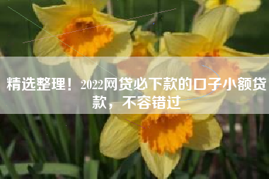 精选整理！2022网贷必下款的口子小额贷款，不容错过