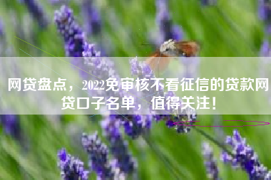 网贷盘点，2022免审核不看征信的贷款网贷口子名单，值得关注！