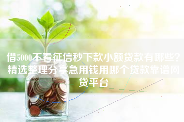 借5000不看征信秒下款小额贷款有哪些？精选整理分享急用钱用哪个贷款靠谱网贷平台