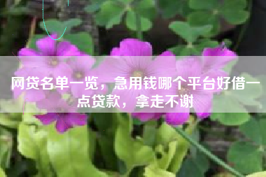 网贷名单一览，急用钱哪个平台好借一点贷款，拿走不谢