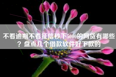 不看逾期不看征信秒下5000的网贷有哪些？盘点几个借款软件好下款的