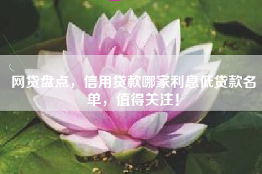 网贷盘点，信用贷款哪家利息低贷款名单，值得关注！