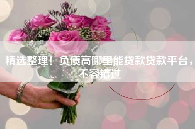 精选整理！负债高哪里能贷款贷款平台，不容错过
