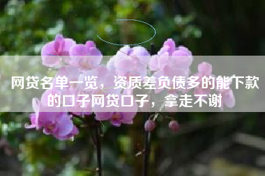 网贷名单一览，资质差负债多的能下款的口子网贷口子，拿走不谢