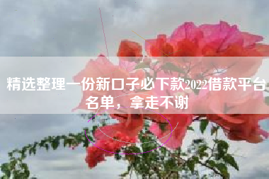 精选整理一份新口子必下款2022借款平台名单，拿走不谢