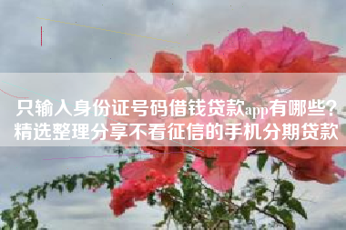 只输入身份证号码借钱贷款app有哪些？精选整理分享不看征信的手机分期贷款