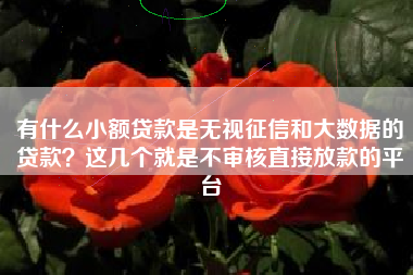 有什么小额贷款是无视征信和大数据的贷款？这几个就是不审核直接放款的平台