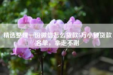 精选整理一份微信怎么贷款5万小额贷款名单，拿走不谢