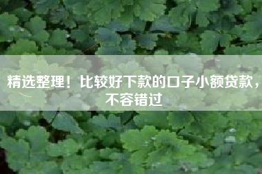 精选整理！比较好下款的口子小额贷款，不容错过