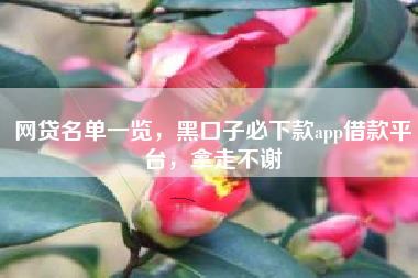 网贷名单一览，黑口子必下款app借款平台，拿走不谢