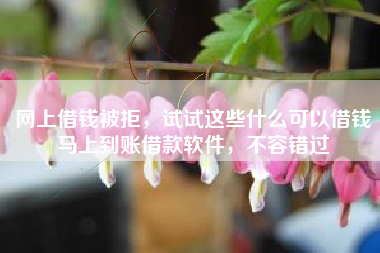 网上借钱被拒，试试这些什么可以借钱马上到账借款软件，不容错过