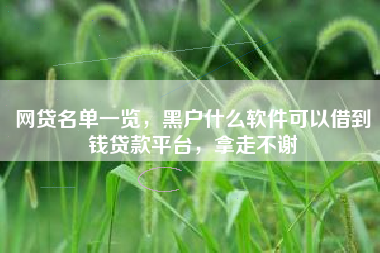 网贷名单一览，黑户什么软件可以借到钱贷款平台，拿走不谢