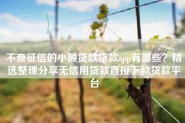 不查征信的小额贷款贷款app有哪些？精选整理分享无信用贷款直接下款贷款平台
