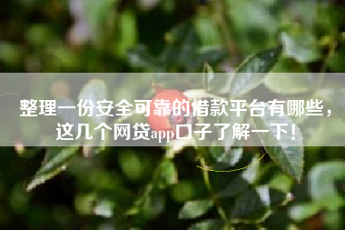 整理一份安全可靠的借款平台有哪些，这几个网贷app口子了解一下！
