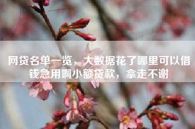 网贷名单一览，大数据花了哪里可以借钱急用啊小额贷款，拿走不谢