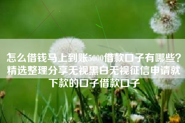 怎么借钱马上到账5000借款口子有哪些？精选整理分享无视黑白无视征信申请就下款的口子借款口子