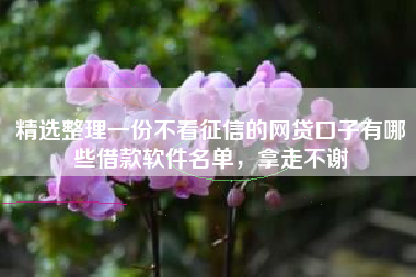 精选整理一份不看征信的网贷口子有哪些借款软件名单，拿走不谢