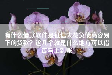 有什么借款软件是征信太花负债高容易下的贷款？这几个就是什么地方可以借钱马上到账