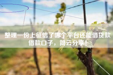 整理一份上征信了哪个平台还能借贷款借款口子，简云分享！