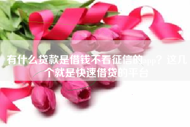 有什么贷款是借钱不看征信的app？这几个就是快速借贷的平台
