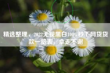 精选整理，2022无视黑白100%秒下网贷贷款一览表，拿走不谢