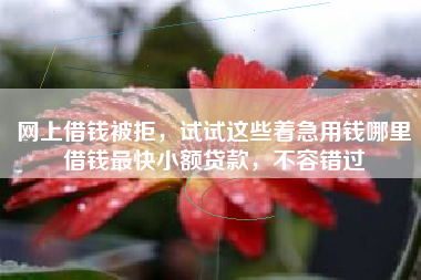 网上借钱被拒，试试这些着急用钱哪里借钱最快小额贷款，不容错过
