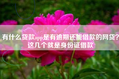 有什么贷款app是有逾期还能借款的网贷？这几个就是身份证借款