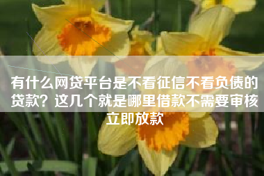 有什么网贷平台是不看征信不看负债的贷款？这几个就是哪里借款不需要审核立即放款