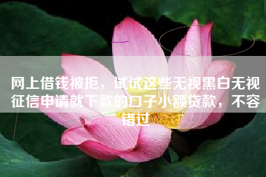 网上借钱被拒，试试这些无视黑白无视征信申请就下款的口子小额贷款，不容错过
