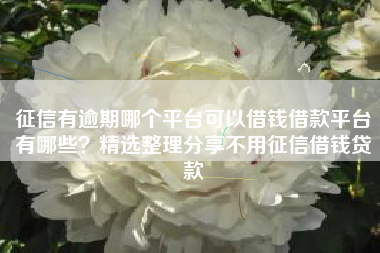 征信有逾期哪个平台可以借钱借款平台有哪些？精选整理分享不用征信借钱贷款