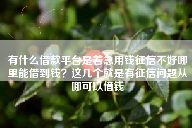 有什么借款平台是着急用钱征信不好哪里能借到钱？这几个就是有征信问题从哪可以借钱