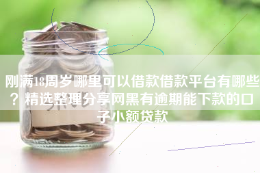 刚满18周岁哪里可以借款借款平台有哪些？精选整理分享网黑有逾期能下款的口子小额贷款