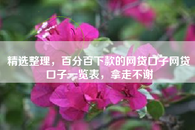 精选整理，百分百下款的网贷口子网贷口子一览表，拿走不谢