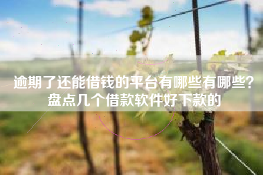 逾期了还能借钱的平台有哪些有哪些？盘点几个借款软件好下款的