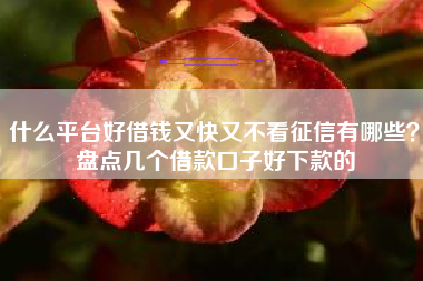 什么平台好借钱又快又不看征信有哪些？盘点几个借款口子好下款的