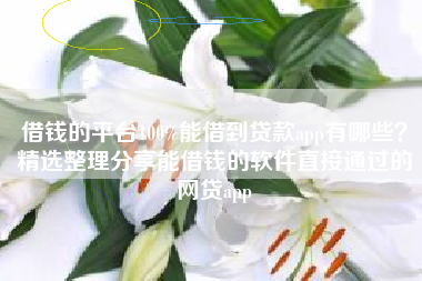 借钱的平台100%能借到贷款app有哪些？精选整理分享能借钱的软件直接通过的网贷app
