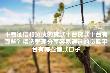 不看征信和负债的贷款平台贷款平台有哪些？精选整理分享容易通过的贷款平台有哪些借款口子