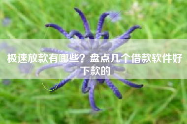 极速放款有哪些？盘点几个借款软件好下款的