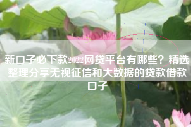 新口子必下款2022网贷平台有哪些？精选整理分享无视征信和大数据的贷款借款口子